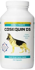 Nutramax Cosequin DS Double Strength Capsules - 250 Count