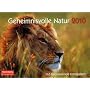 Geheimnisvolle Natur 2010: 365 faszinierende Fotografien