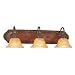 Liz Jordan Lighting 832617 Crackled Bronze with Vintage Stone Accents Emperor 3 Light...