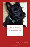How to Train and Understand your Scottish Terrier Puppy& Dog
