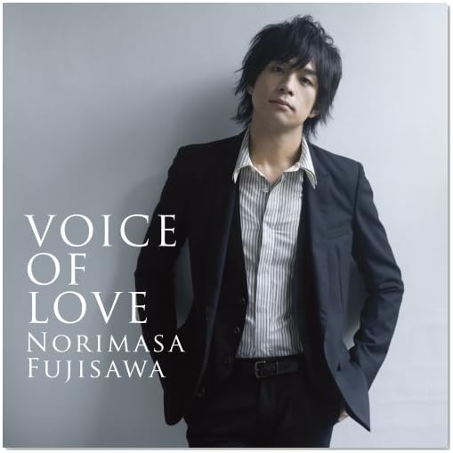 VOICE OF LOVE ~愛の力~(DVD付)