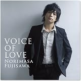 VOICE OF LOVE ~愛の力~(DVD付)
