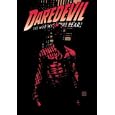 Daredevil, Vol. 4