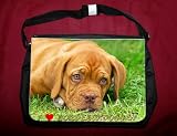 Eigenschaften Das Tierporträt  / Kollegtasche, Tasche Bordeauxdogge
