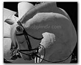 Linda Shier Sculpted Equine 8X10