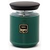 Legacy by Root Queen Bee Jar Candle, Large, Bayberry