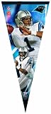 NFL Carolina Panthers Premium Quality Pennant 12-by-30 inch