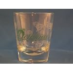 Miami Dolphins Shot Glass 2 Oz by Boelter Brands