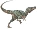 (24x36) Laminated Tyrannosaurs Educational Dinosaur Science Chart Poster image 2
