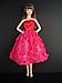 A Hot Pink Knee Length Dress Covered in Roses It so Cute Also Avail in Silver, Red, and Purple Made to Fit the Barbie Doll