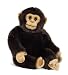 Webkinz Smaller Signature - Chimpanzee