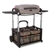 Char-Broil Grill 2 Go Ice Real Tree Edition TRU Infrared Grill