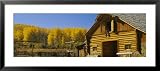 Cowboy Sitting on a Window of a Log Cabin, Ouray County, Ridgeway, Colorado, USA Framed Art Poster Print by Panoramic Images, 43x19