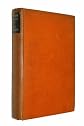 Juan in America (Modern Classics S.)