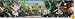 Disney Fairies Movie Self-Stick Wall Border, 5-Inch x 15-Foot