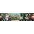 New Fairies Movie Self-Stick Wall Border, 5-Inch x 15-Foot