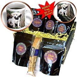 Dogs Labrador Retriever - Cute Yellow Lab Puppy - Coffee Gift Baskets - Coffee Gift Basket by Decaf Espresso Roast