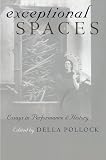 Exceptional Spaces: Essays in Performance and History