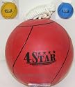 Tetherball for Playgrounds & Picnics:Tether Ball