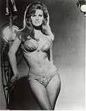 Raquel Welch Lingerie Bra Poster Pinup Garage Art 20x30