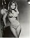 Raquel Welch Lingerie Bra Poster Pinup Garage Art 20x30