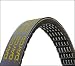 Dayco 5080825 Fan Belt