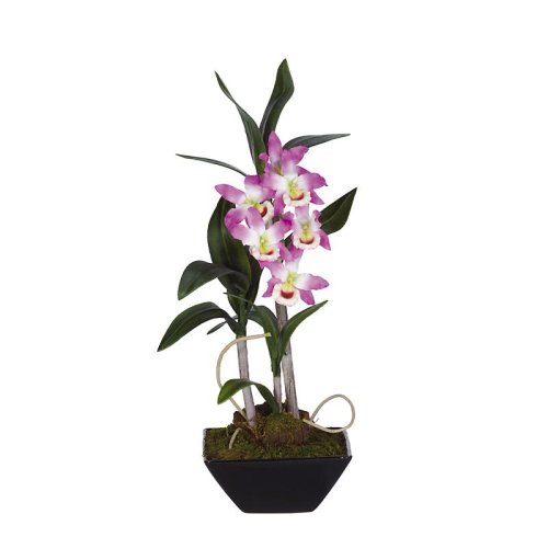 Dendrobium Pendulum w/Black Vase – Purple