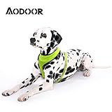Aodoor LED Dog Harness Light Soft Mesh Dog Puppy Pet Harness Adjustable (green, Medium)