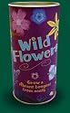 Wildflower Seed Kit - Enough Wild Flower Seed to Cover 300 Sq. Ft - China Aster, Daisy, Marigold, Zinnia Wildflowers & More