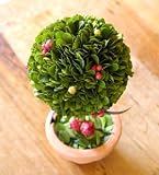 枯れない観葉植物？！プリザーブドフラワー　トピアリー・まる（M）　お誕生日や開店祝・新築祝などに！【パラボッセ】 誕生日