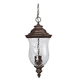Capital Lighting 9786TS Outdoor Hanging Fixture with Hammered Glass Shades, Tortoise Finish by Capit