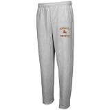 Arizona State Sun Devils Ash Collegiate Logo Sweatpants