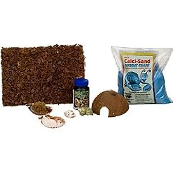 T-Rex Crab Island Hermit Crab Starter Kit
