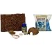 T-Rex Crab Island Hermit Crab Starter Kit