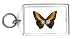 Keychain with insect, butterfly