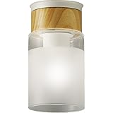 DAIKO ����d�@ �V�[�����O���C�g DX-85759