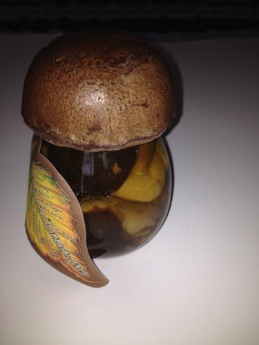 Marinated Wild Forest Mushrooms