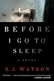Before I Go To Sleep: A Novel