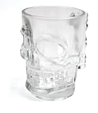 Kikkerland Skull Stein