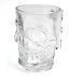 Kikkerland Skull Stein