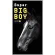 SUPER&nbsp;�r�b�O�{�[�C&nbsp;12����