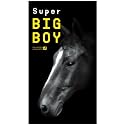 SUPER ビッグボーイ 12個入り