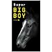 SUPER �r�b�O�{�[�C 12����