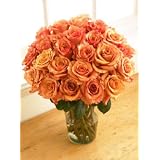 Two Dozen Orange Bliss Roses