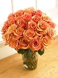 Two Dozen Orange Bliss Roses, Eco-Friendly - Veriflora Certified