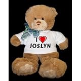 Teddy Bear with I Love Joslyn t-shirt