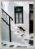 Chats Poster Reproduction et Cadre (Alu) - Chat Grec Par Hans Silvester (70 x 50cm)