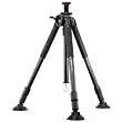 Vanguard Auctus Plus 323CT Carbonstativ (2 Ausz�ge, Belastbarkeit bis 18kg, max. H�he 180 cm)