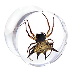 16mm Organic Spider Resin Saddle Plug