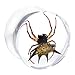 16mm Organic Spider Resin Saddle Plug